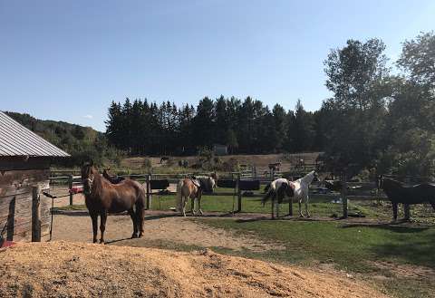 Centre equestre Liberte Equestrian center